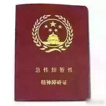 最近全国人都在追公交车!每日轻松一刻9月8日午间版