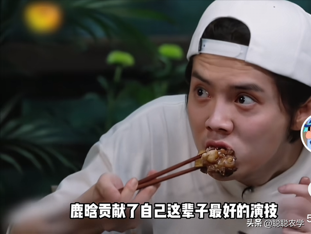 笑不活了!董宇辉称“居里夫人发明x光机”,评论区笑死个人
