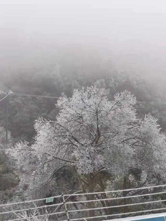 福建这些道路封闭,景区通知