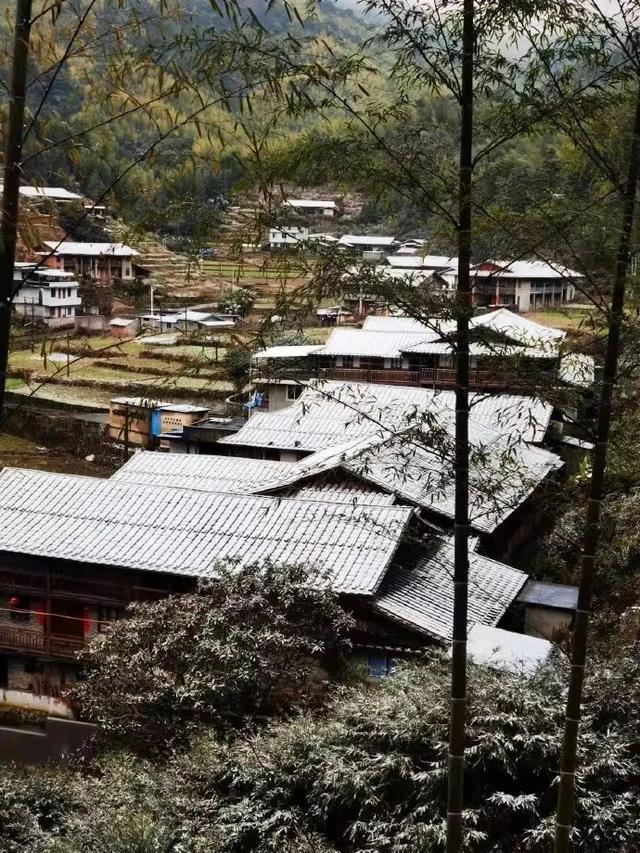 福建这些道路封闭,景区通知