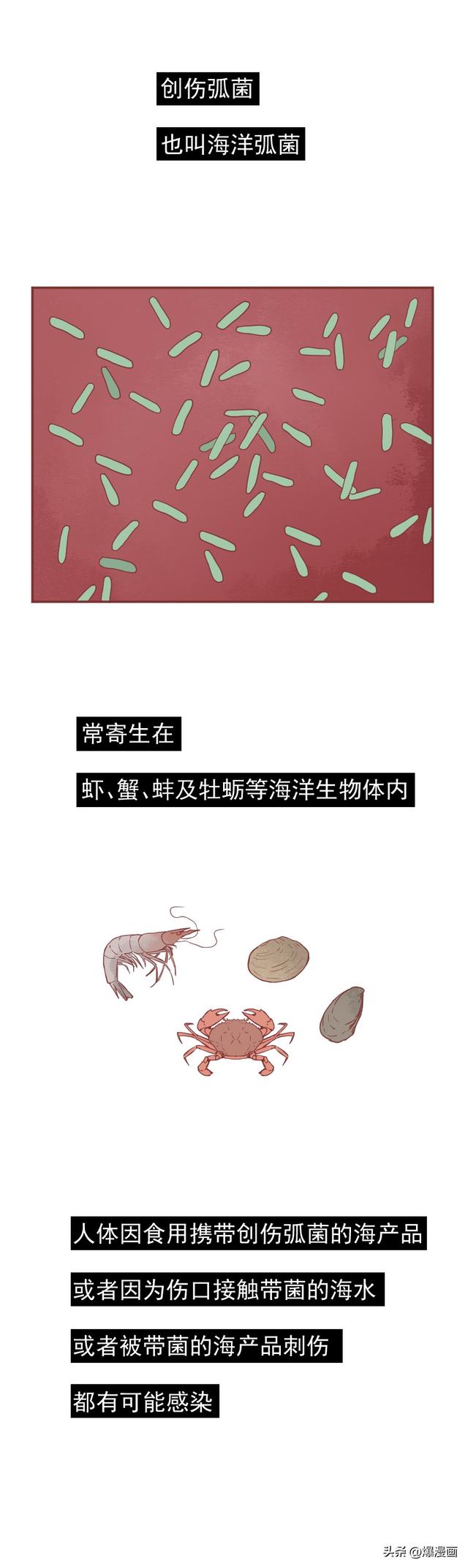 美女满足口欲后,却惨遭截肢,这类海鲜成了致命毒物,请小心