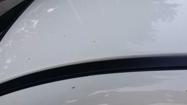 「保养」汽车这5个地方生锈怎么处理?