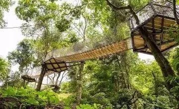 都匀首条7D玻璃桥春节开放！还有空中滑梯、树冠廊桥~