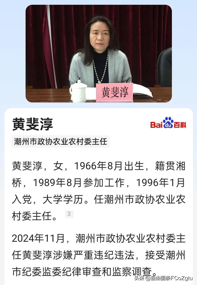美女贪官黄斐淳落马，其肤白貌美衣着华丽，戴着珍珠项链估计很贵
