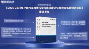 汽车维修调查(中国汽车维修行业发展现状调查、竞争格局及投资策略研究报告)