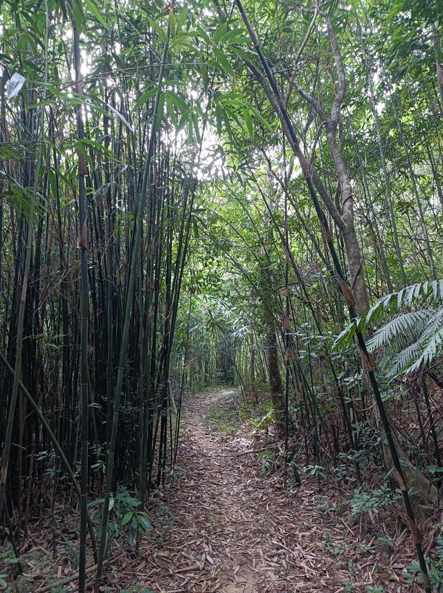 骑行新庵1——湘子古道篇