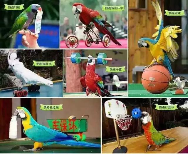 都匀首条7D玻璃桥春节开放！还有空中滑梯、树冠廊桥~