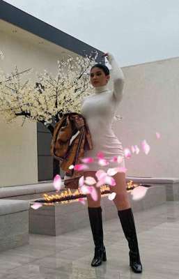美女士大衣(凯莉詹娜穿大衣显胖10斤，沙漏身材离开紧身裙，东北过年既视感)