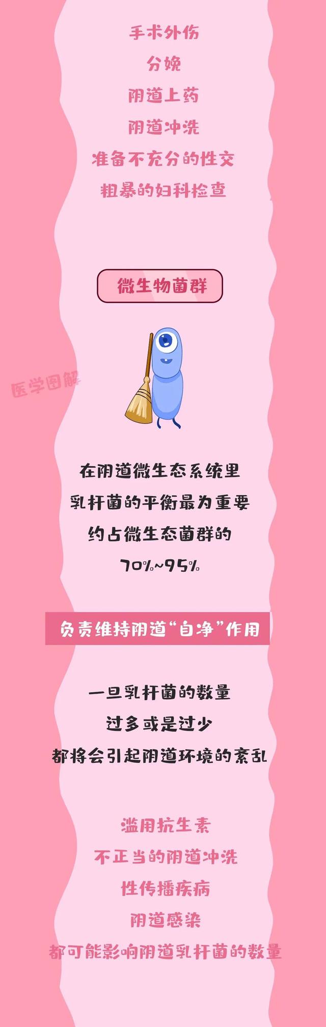 阴道中居然存在着一个大世界——阴道微生态丨医学图解