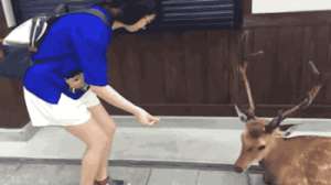 陪旅游美女联系方式(跟女网友奔现后感觉被骗了，我该怎么让她自费回去呢？”哈哈哈)