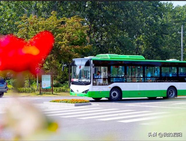泗阳汽车站|春运期间长途客运班次调整公告