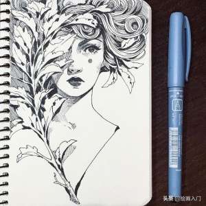 美女数字画(钢笔人像素描插画：复古华丽的画风，美丽优雅又带有魔力的女性)
