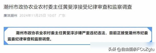 美女贪官黄斐淳落马，其肤白貌美衣着华丽，戴着珍珠项链估计很贵