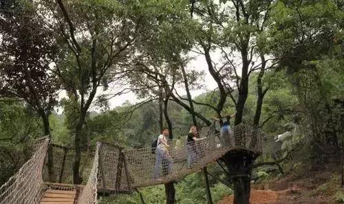 都匀首条7D玻璃桥春节开放！还有空中滑梯、树冠廊桥~