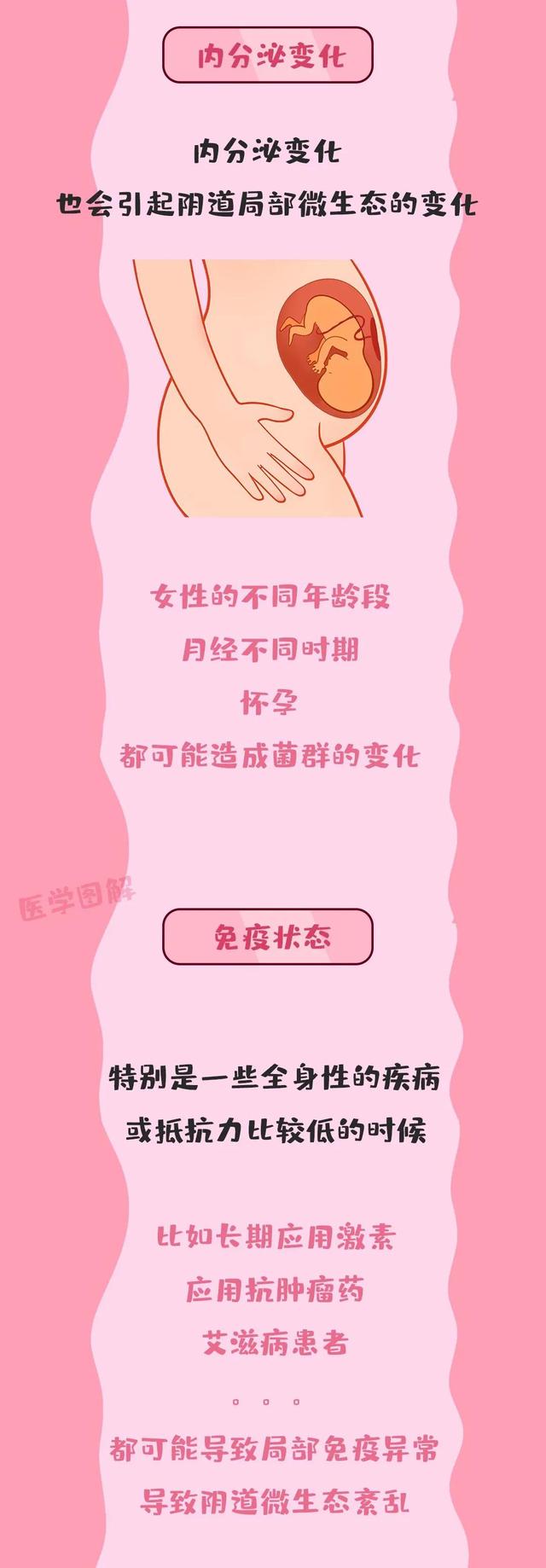 阴道中居然存在着一个大世界——阴道微生态丨医学图解