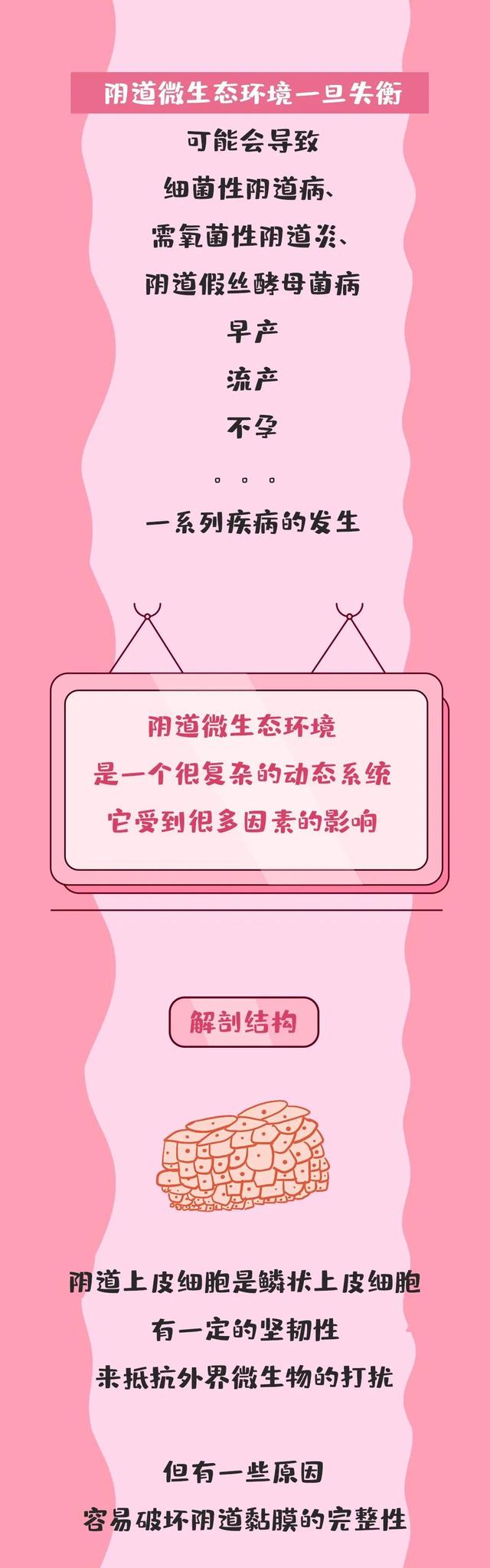 阴道中居然存在着一个大世界——阴道微生态丨医学图解