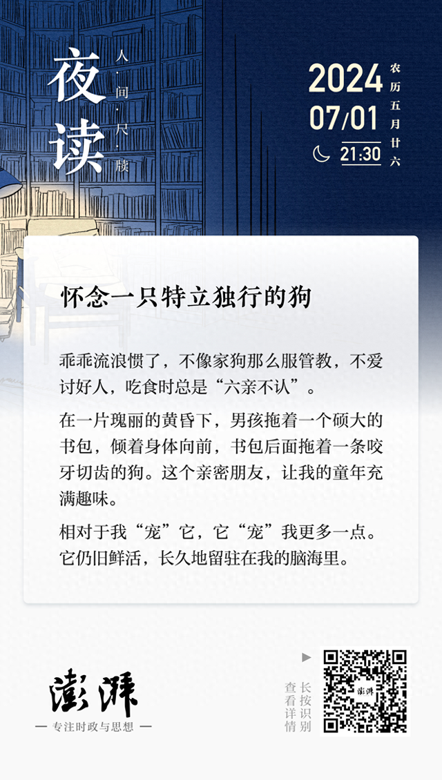 夜读丨怀念一只特立独行的狗