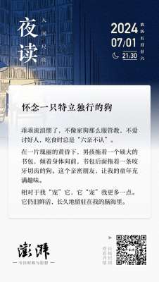 什么的汽车填合适的词(夜读丨怀念一只特立独行的狗)