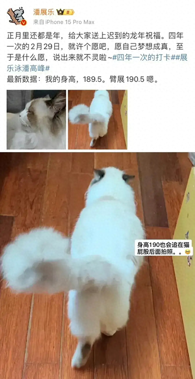 潘展乐训练后，在马路上和一位美女撸狗，场面温馨，太有爱了！