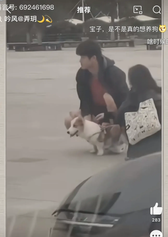 潘展乐训练后，在马路上和一位美女撸狗，场面温馨，太有爱了！