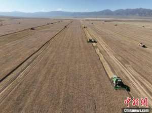 青海:2024年农村居民人均可支配收入达16715元