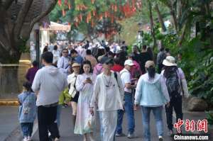 (新春见闻)春节后三亚错峰游火热