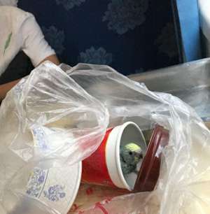飞机汽车托运(假期带鹦鹉出去旅游，教你如何托运爱宠，仅需两物三证轻松办理)