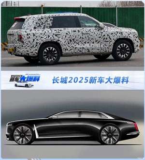 好汽车之家(长城汽车 自信“大劳斯”、坦克“库里南”全来？中国车牛起来了)