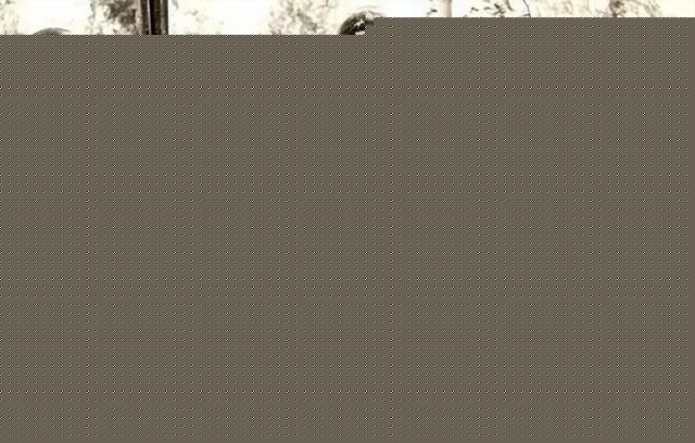 老照片再现:几名美军黑人士兵当街强暴一名女日女人,罪有应得