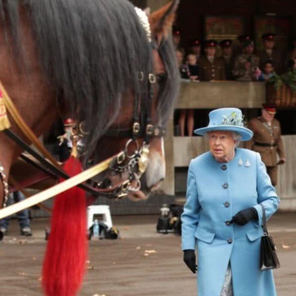 隔离10周,英国女王骑马亮相!爱马的她曾赢得超过880万美元的奖金