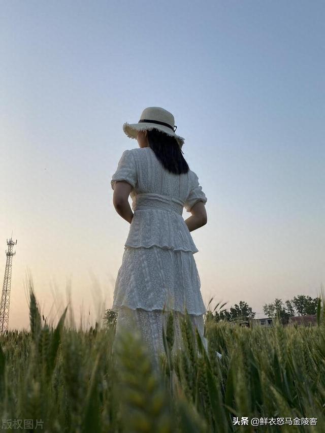 曾经阿莲姐