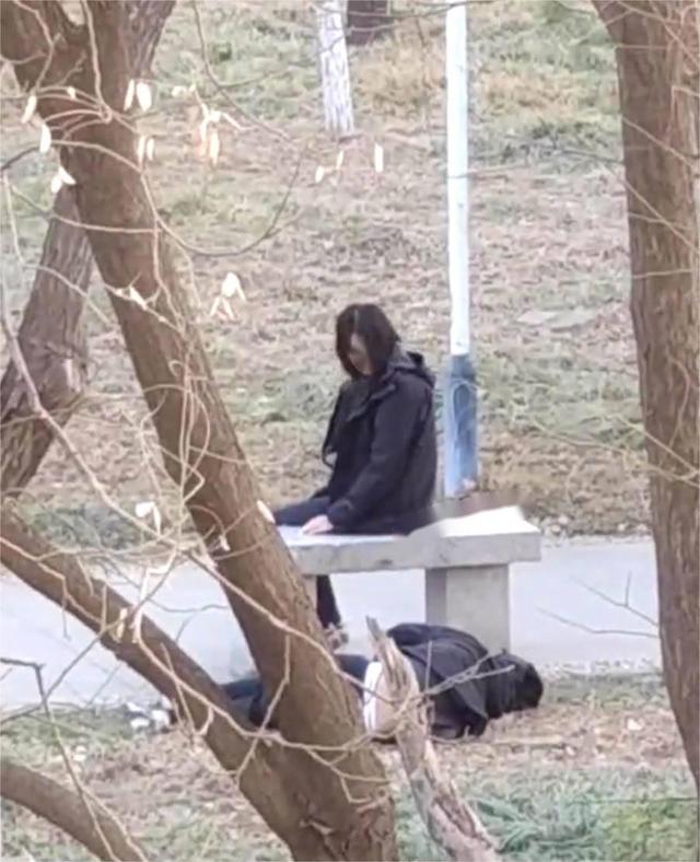 小情侣吵架大打出手 男的被重拳出击,直接放倒