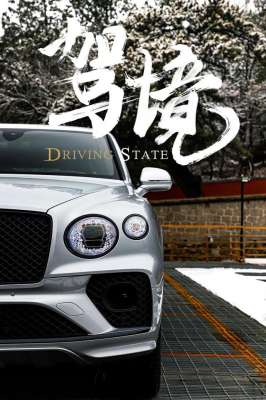 滨利汽车图片(宾利添越：全时四驱空气悬架大G车主都要避让三分)