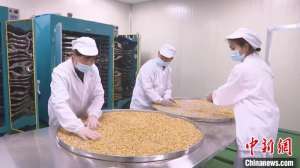 (身边的变化)闽北黄精产业蓬勃发展 科技创新赋能升级