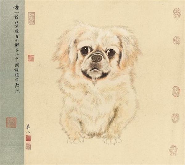 现场|谢稚柳陈佩秋文献展:大千曾赠牛耳笔,二人合作八犬图