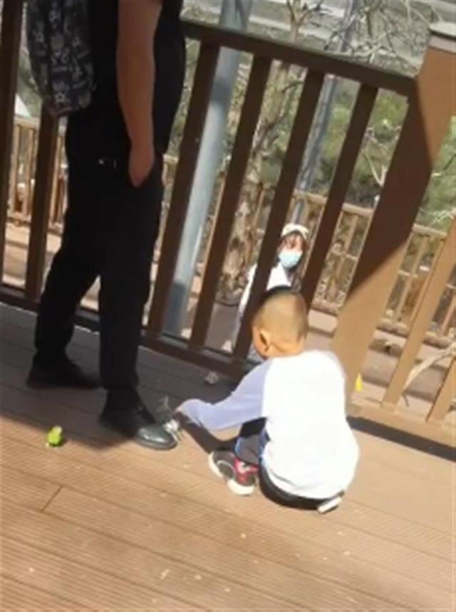 男子景区内脚踩小鸟让孩子逗玩,官方:正在调查