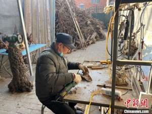 太行山中根雕巧匠:一刀一刻枯木“逢春”
