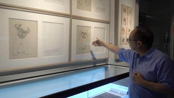 现场|谢稚柳陈佩秋文献展:大千曾赠牛耳笔,二人合作八犬图