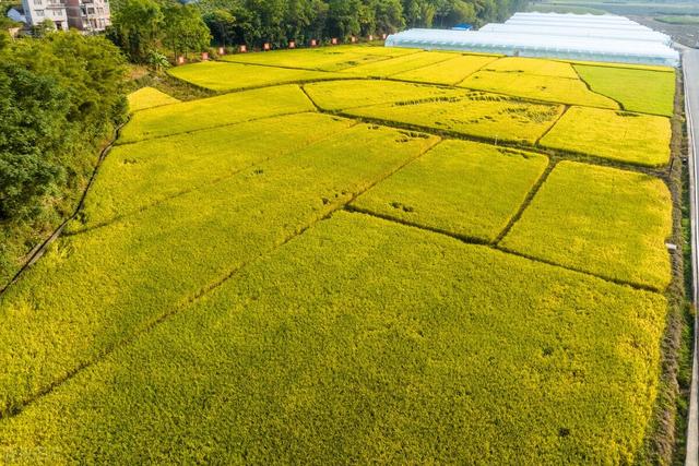 误解“生不增、死不减”是造成部分农户无地少地的根本原因