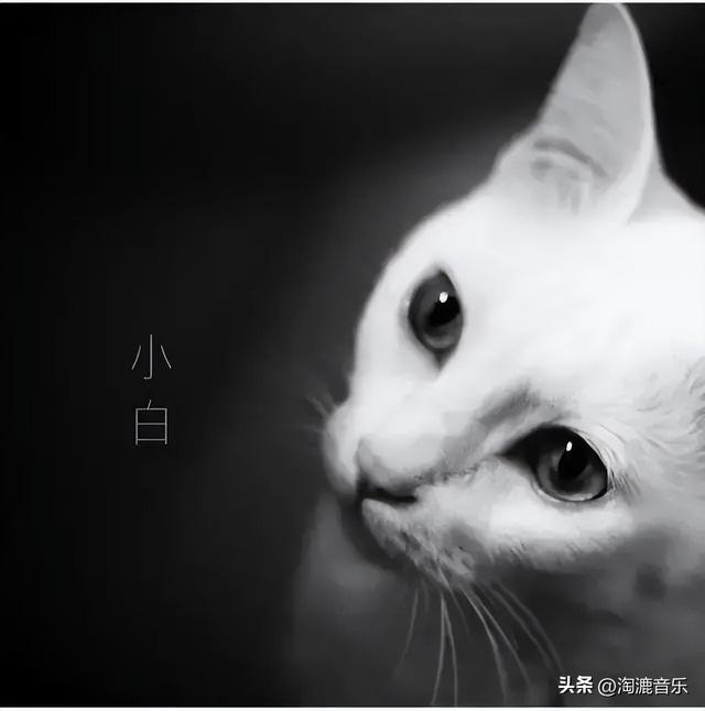 陈奕迅的接班人,竟然不是靠唱歌走红的?