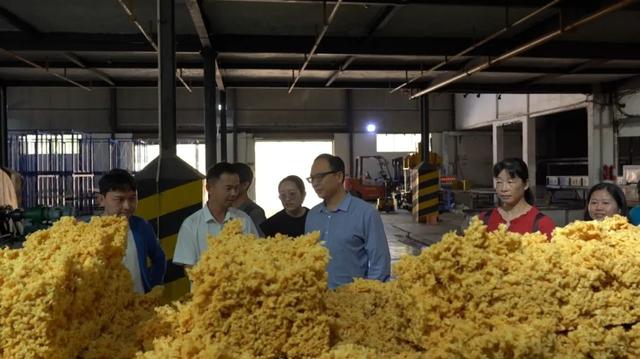 专家帮扶启新程 共赴未来谱新篇——省专家人才助力勐腊县橡胶、文旅康养产业高质量发展