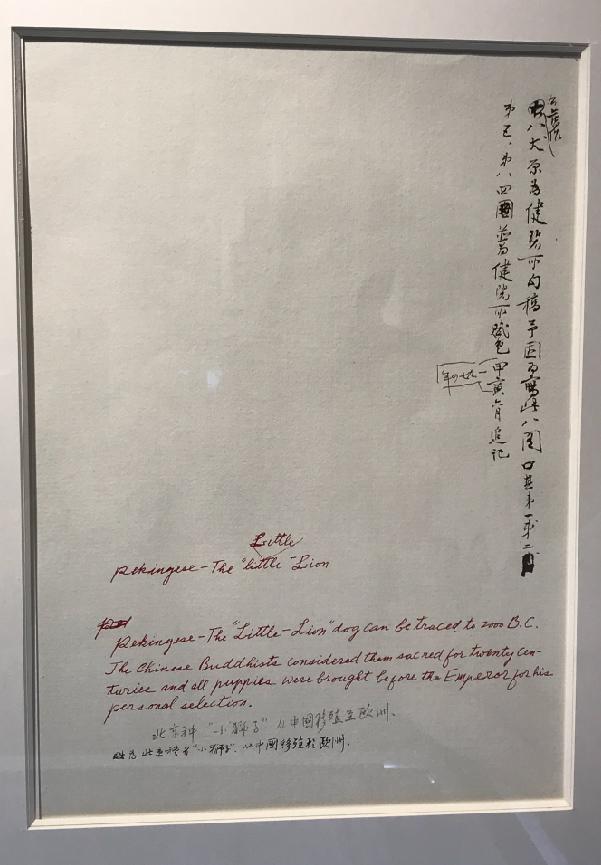 现场|谢稚柳陈佩秋文献展:大千曾赠牛耳笔,二人合作八犬图