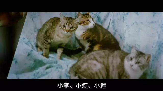 梁家辉最经典的角色，“胜天半子”周朝先，原来出自这部黑帮港片