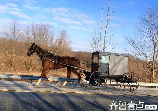 马车铃儿响叮当