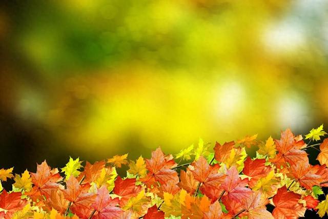 花开有期,花落无语,人生无常