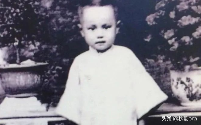 18年后,再看翁帆的生活,才明白嫁大54岁杨振林是多么幸福