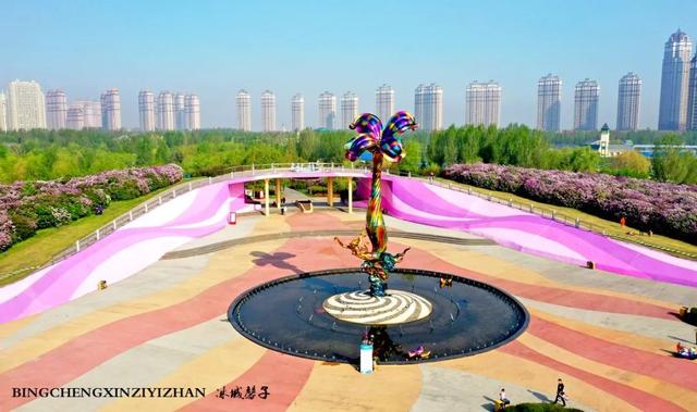 五月丁香开，美翻一座城