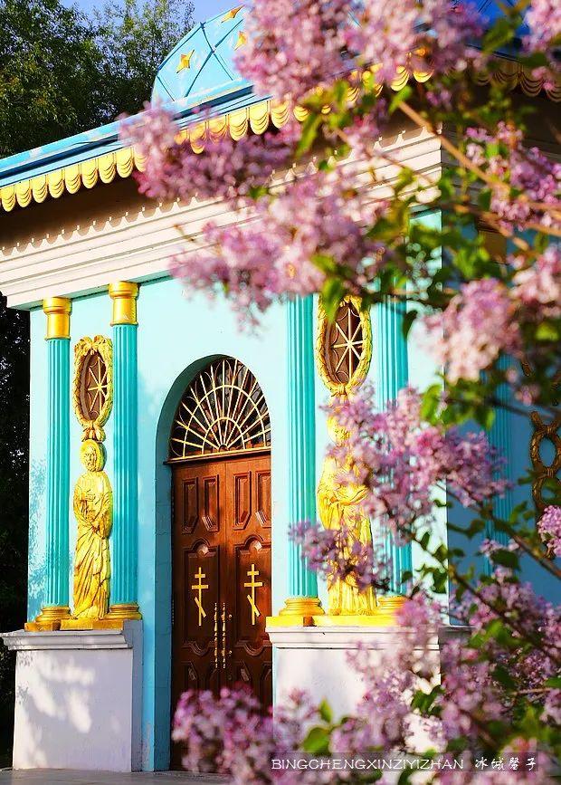 五月丁香开，美翻一座城