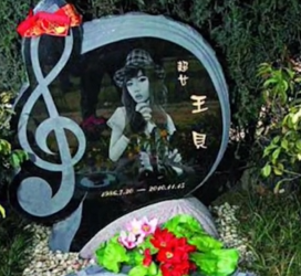 王贝：整容离世真相成谜，主刀医生澄清遭质疑，家属为何选择私了