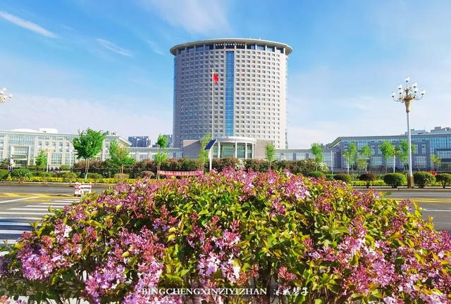 五月丁香开，美翻一座城